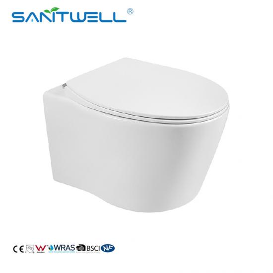 wall mounted toilet