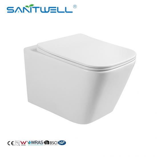 wall mounted toilet