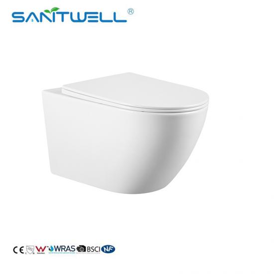 wall mounted toilet