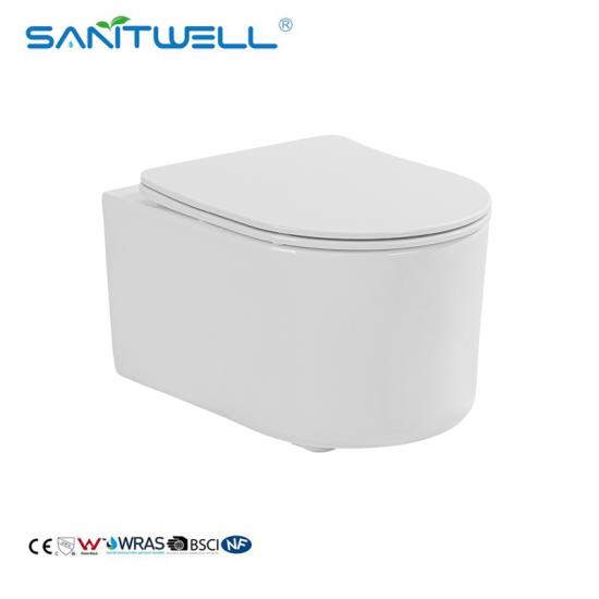 wall hung toilet